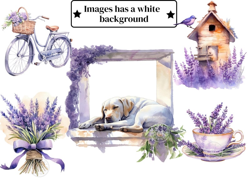 May include: A watercolour illustration of a lavender theme with a bicycle, a dog sleeping in a window, a birdhouse with a bird, a bouquet of lavender, and a teacup with lavender inside.