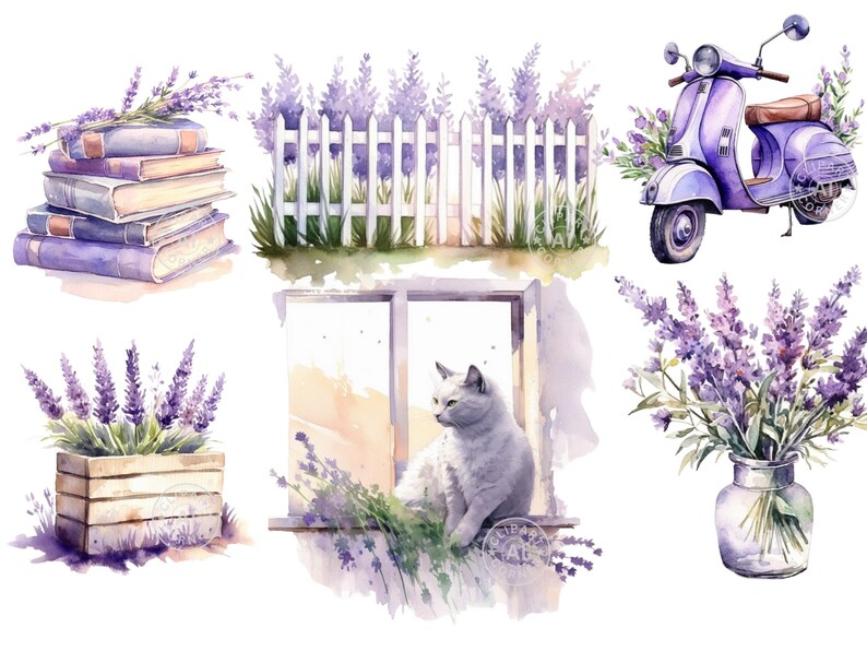 May include: A watercolour illustration of a lavender theme with a stack of books, a white picket fence, a purple scooter, a cat sitting in a window, and a bouquet of lavender in a glass vase.