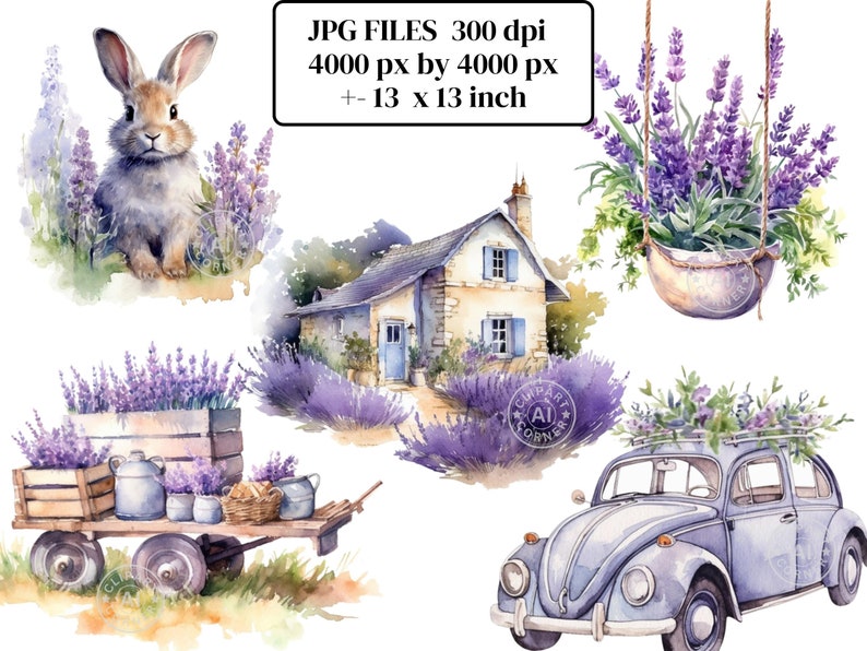 May include: A watercolour illustration set featuring a cute bunny rabbit, a small cottage with lavender bushes, a hanging pot of lavender, a vintage car with lavender flowers on the roof, and a wooden wagon with lavender plants and watering cans.