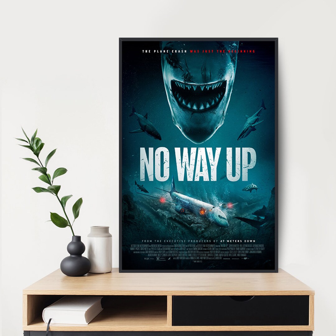 No Way up 2024 Movie Poster Movie Poster Art Movie Wall Room Decor