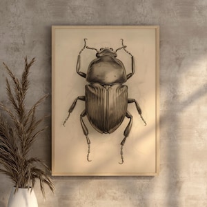 Scarab Beetle Painting Insect Watercolor Digital Insect Artwork Scarab Beetle Art Print Neutral Large Watercolor Scarab Beetle Wallart