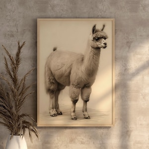 Digital Alpaca Llama Printable Wall Art Print Funny Alpaca Baby Llama Decorative Printing Sketch Alpaca Gift