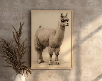 Digital Alpaca Llama Printable Wall Art Print Funny Alpaca Baby Llama Decorative Printing Sketch Alpaca Gift