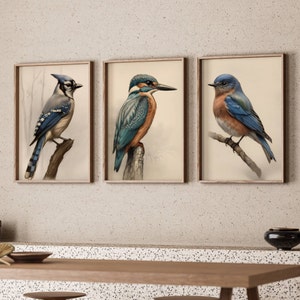 Digital Blue Birds Art Unique Bird Gift Bird Set of Digital Bird Illustrations of Artful Bird Set of 3 Printable Bird Art Decoration Bird
