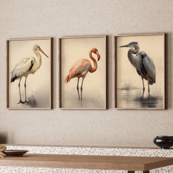 Bird Set Of 3 Prints Gallery Wall Set. Stork Bird, Flamingo Poster, Heron Gift. Three Birds Printable Animal Set Beachhouse Decor