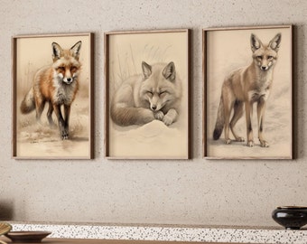 Set of Three Foxes Print Digital Fox Art Animals Print Set Woodland Decor