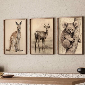 Aussie Animal 3-Piece Art Print Kangaroo Koala Deer Printable Australian Wallart Digital Aussie Gift Idea Neutral Sketch Poster Decoration