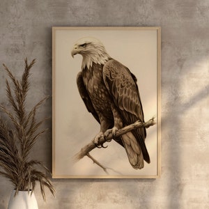 Bald Eagle Digital Art Print Eagle Poster Download Forest Animal Bird Of Prey Art Print Folkart Neutral Farmhouse Painted American Eagle
