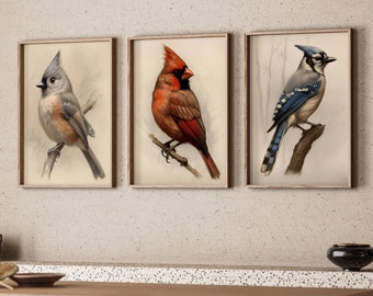 Set Of 3 Art Song Bird Downloadable Birds Wallart Print Bird Set Bird Lovers Gift Bird Decor Cardinal Gift Blue Jay Tufted Titmouse