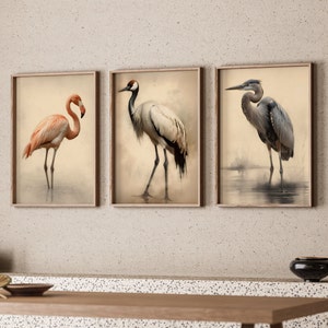 Bird Art Set 3 Bird Printed Decore | Flamingo Poster Crane Bird Print Heron Gift Birds Decore Naturalism Bird Art