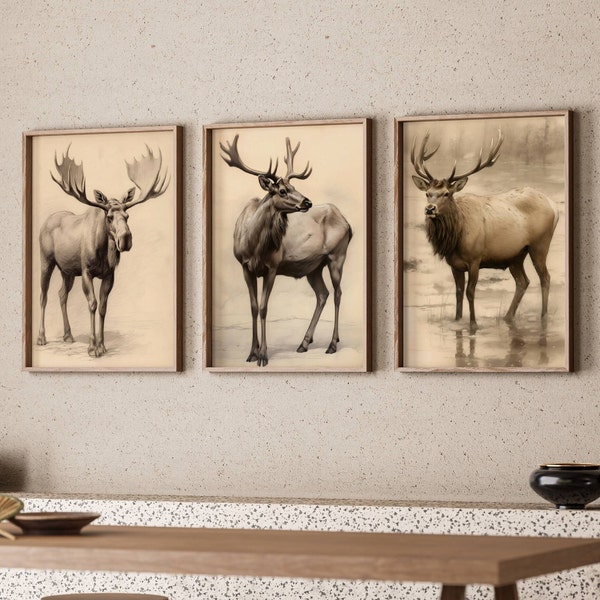 Prints National Park Animals Wildlife Gift Wildlife Digital Print Antler Art Poster 3 Set Prints 3 Set Animals