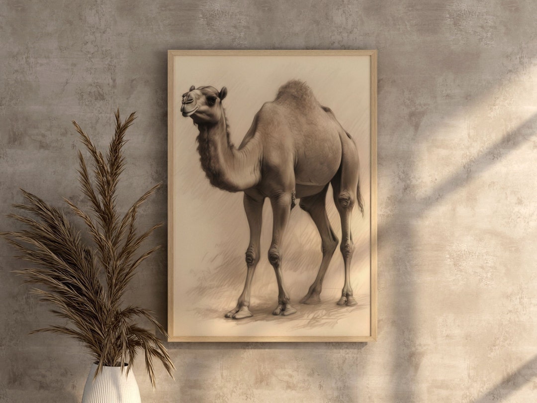 Camel Art Digital Wall Poster Desert Animalprints for Wild Life Room ...