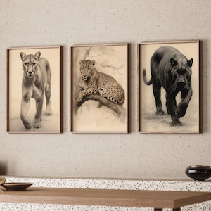 3 Piece Wallart Print Bigcat Gift Cougar Jaguar Panther Wallart Jungle Naturalism Big Cat Art
