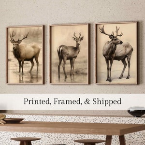 Rustic Deer Art Print - Cabin Decor - Cabin Wall Art - Gift for Hunter