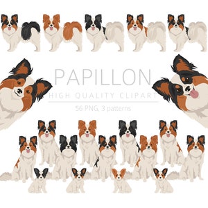 Papillon clipart bundel, Papillon puppy clipart, hoge kwaliteit PNG, cadeau voor hond mama en papa, digitale ambachtelijke, digitale download clipart