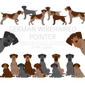 German Wirehaired Pointer Clipart Bundle, Drahthaar Pup clipart, Dog High Quality PNG, Gift Dog Mom and Dad, Digital Craft, Digital Clipart