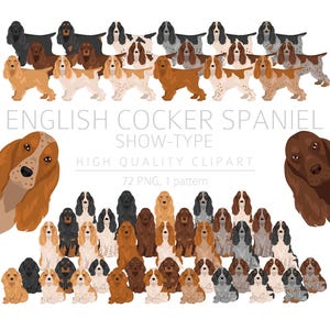 Pack d'images de Cocker Spaniel anglais, chiot Cocker, PNG haute qualité, cadeau pour maman et papa, téléchargement numérique, création numérique