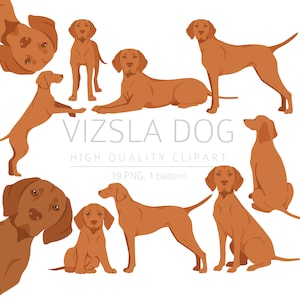 Vizsla dog Clipart Bundle, Vizsla clipart, Dogs High Quality PNG, Gift for Dogs Mom and Dad, Digital Craft, Digital Download Clipart