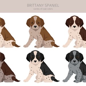 Brittany Spaniel Clipart Bundle, Brittany Puppy Clipart, Dog High