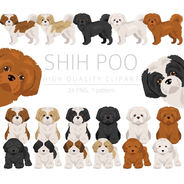 Shih Tzu Poodle mix Clipart Bundle, Shih Poo puppies clipart, Designer Dog Breeds High Quality PNG, Crossbreed Pups Digital Download Clipart