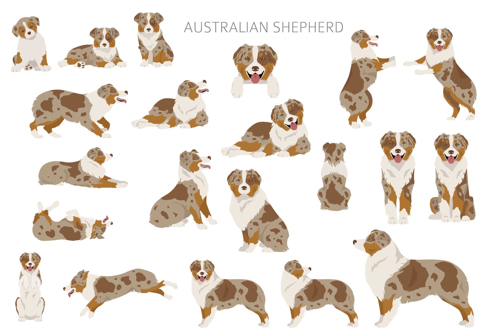 Australian Shepherd Clipart Bundle, Aussie Pup Clipart, Dogs High ...