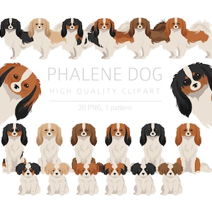 Phalene clipart bundel, Papillon Drop-eared puppy clipart, hoge kwaliteit PNG, cadeau honden mama en papa, digitale ambachtelijke, digitale download clipart