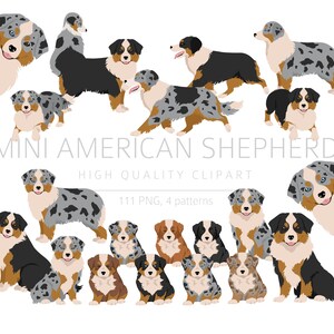 Miniature American Shepherd Clipart Bundle, Aussie puppy clipart, Gift Dogs Mom and Dad, Digital Craft, Digital Download Clipart, Dog Png