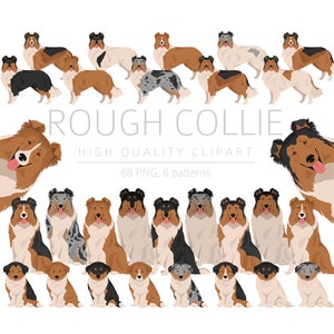 Pacchetto di clipart Rough Collie, clipart cucciolo di Collie, PNG di alta qualità, regalo per cani mamma e papà, artigianato digitale, clipart di download digitale