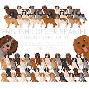 Clipart de Cocker Spaniel anglais de travail, chiot Cocker, PNG haute qualité, cadeau pour maman et papa, téléchargement numérique, création numérique