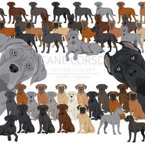 Cane Corso Clipart Bundle, Cane Corso puppy clipart, Dog High Quality PNG, Digital Craft, Digital Download Clipart, Dog Lovers gift