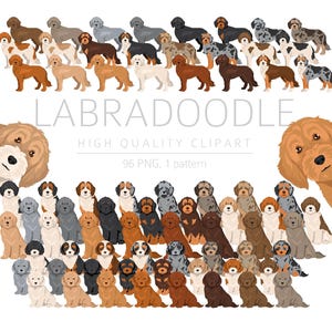 Labrador Poodle mix Clipart Bundle, Clipart cucciolo Labradoodle, Razze di cani di design PNG di alta qualità, Clipart digitale per download di cuccioli di razza incrociata