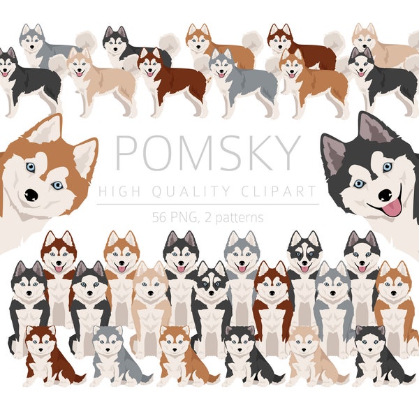 Pomeranian Husky mix Clipart Bundle, Pomsky puppies clipart, Designer Dog Breeds High Quality PNG, Crossbreed Pups Digital Download Clipart