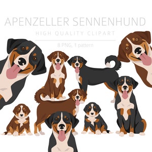 Apenzeller Mountain dog Clipart Bundle, Senennhund puppy, Dog High Quality PNG, Gift for Dog Mom Dad, Memorial, Digital Download Clipart