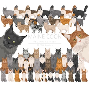 Clipart de chat Maine Coon à usage commercial, couleur de pelage personnalisée du chat Coon PNG et SVG, cadeau pour les amoureux des chats, artisanat numérique, téléchargement numérique