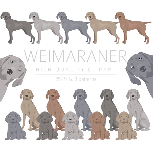 Weimaraner Clipart Bundle, Weimaraner Puppy clipart, High Quality PNG, Gift for Dog Mom and Dad, Digital Craft, Digital Download Clipart