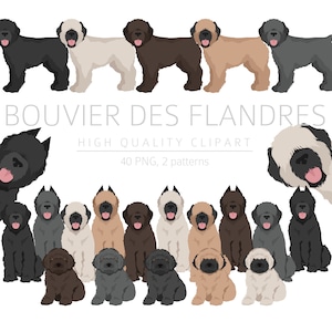 Bouvier des Flandres Clipart Bundle, Bouvier Puppy clipart, PNG de haute qualité, Cadeau pour chien maman papa, Artisanat numérique, Mémorial de téléchargement numérique