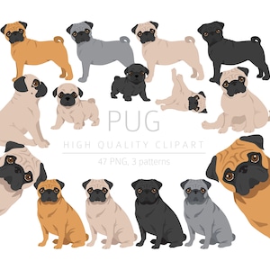 Pug Clipart Bundle, Mops puppy clipart, Pug High Quality PNG, Gift for Dogs Mom and Dad, Digital Craft, Digital Download Clipart