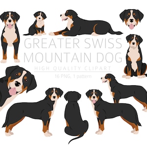 Greater Swiss Mountain dog Clipart Bundle, Swissy puppy clipart, Dog High Quality PNG, Gift Dogs Mom and Dad, Digital Download Clipart