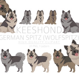 German Spitz Keeshond Clipart Bundle, Wolf spitz Puppy clipart, High Quality PNG, Gift for Dog Mom Dad, Digital Craft, Digital Download