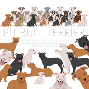 American Pit Bull Terrier Clipart Bundle, Pitbull puppy clipart, Dog High Quality PNG, Gift Dogs Dad, Dog Memorial, Digital Download Clipart