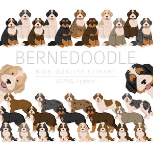 Bernese Poodle mix Clipart Bundle, Bernedoodle puppy clipart, Designer Dog Breeds High Quality PNG, Crossbreed Pup Digital Download Clipart