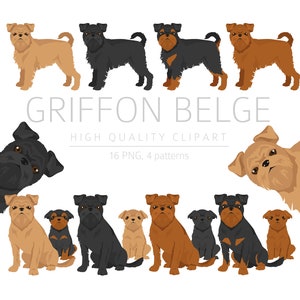 Griffon Belge Clipart Bundle, clipart cucciolo di grifone belga, PNG di alta qualità, regalo cane mamma papà, artigianato digitale, memoriale per il download digitale