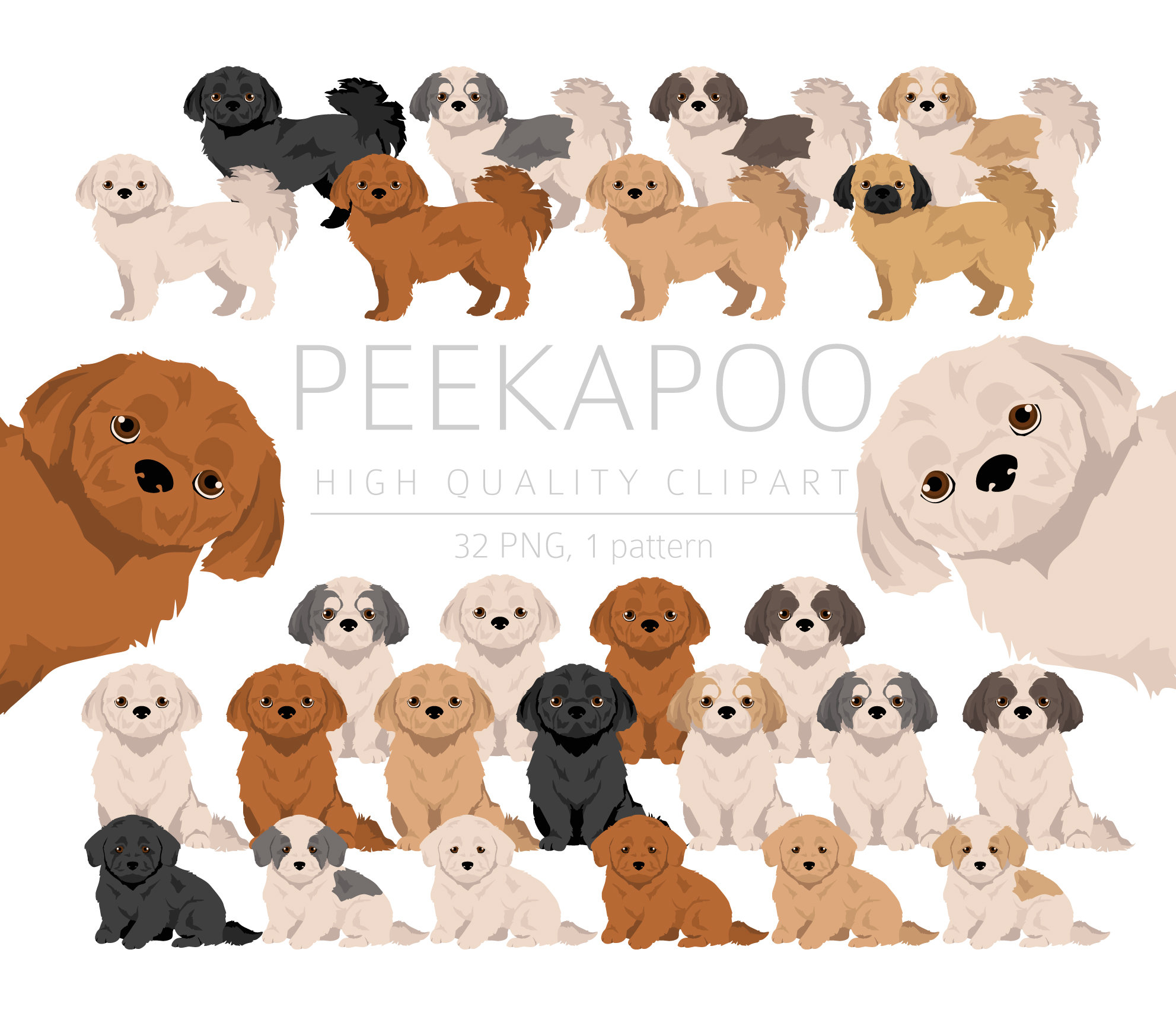 Peekapoo Dog Breed Teacup Peekapoo Puppies Peek A Pooh Dog 2025