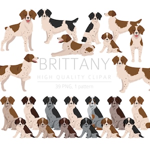 Brittany Spaniel Clipart Bundle, Brittany Puppy Clipart, Dog High