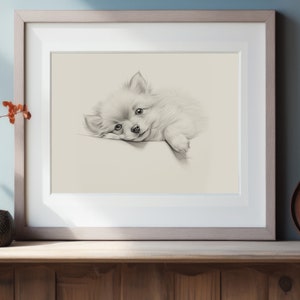 Dog Art, Sleeping Dog, Dog Print, Pomeranian Fine Art Print, Dog Owner Gift, Dog Drawing, Dog Portrait Art, Dog Decor, Puppy Drawing.