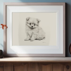 Pomeranian Fine Art Print, Dog Art, Dog Decor, Dog Owner Gift, Dog Print, Dog Drawing, Puppy Drawing, Sleeping Dog, Dog Portrait Art