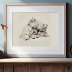 Dog Drawing, Dog Owner Gift, Dog Art, Pomeranian Fine Art Print, Dog Decor, Sleeping Dog, Dog Print, Puppy Drawing, Dog Portrait.