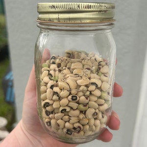 Black Eyed Pea Seeds