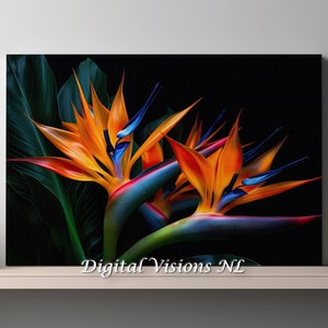 Bird of Paradise flower, black background, Canvas Wall Art | 23030