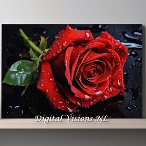 Canvas Wall Art, Red Rose, black background